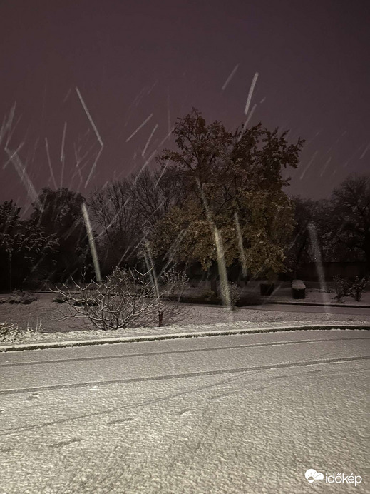 Észlelési fényképek