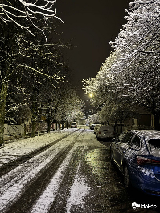 Észlelési fényképek