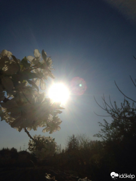 Észlelési fényképek