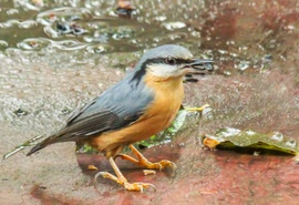 Várom az esőszünetet. 