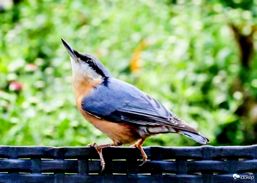 Borúra derü. Úgy nézem világosodik 