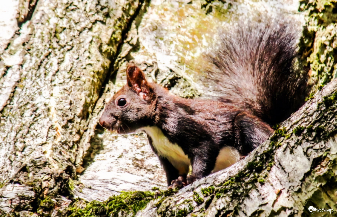 Ugye mi jó barátok vagyunk. 