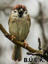Én már Szilveszter reggelén el vagyok ázva! B.Ú.É.K. Mindenkinek!