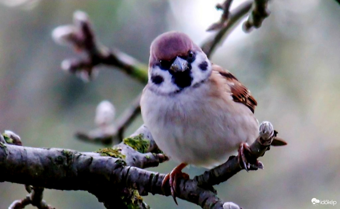 Ez a nézés az "életem "!