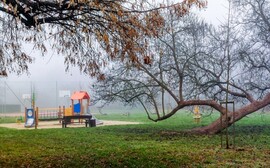 Egy kis szín a ködben. 