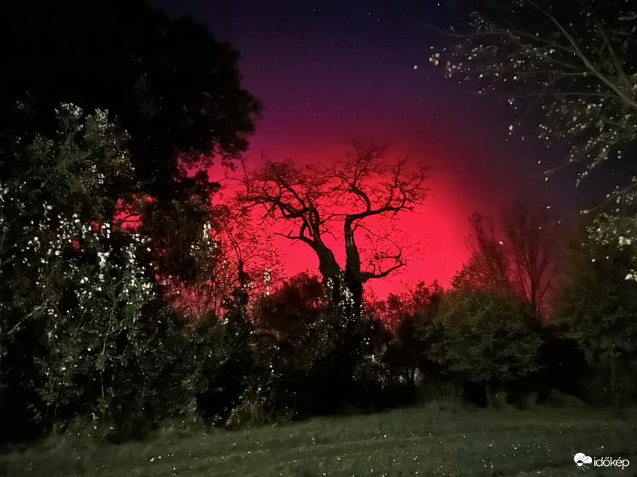 Észlelési fényképek