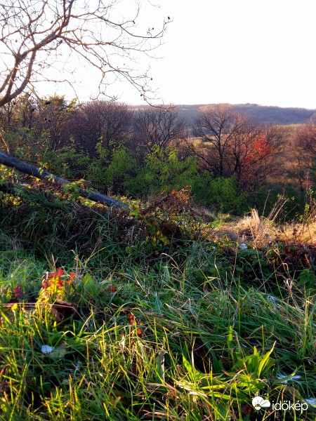 Zalaegerszeg - Bazita