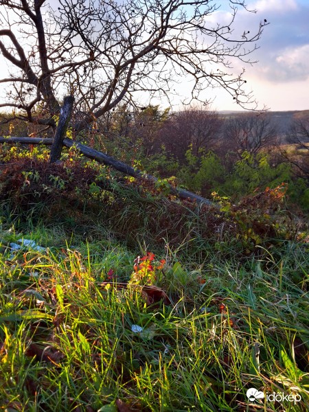 Zalaegerszeg - Bazita