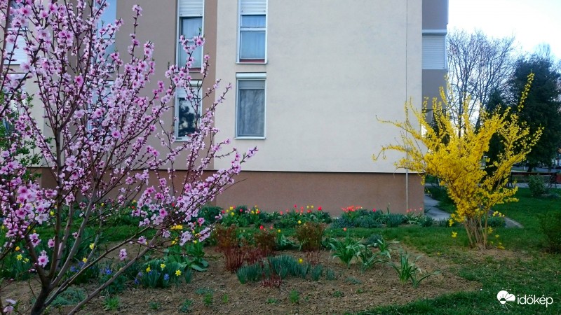 Zalaegerszeg 