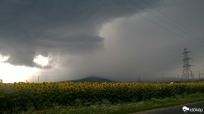 Észlelési fényképek