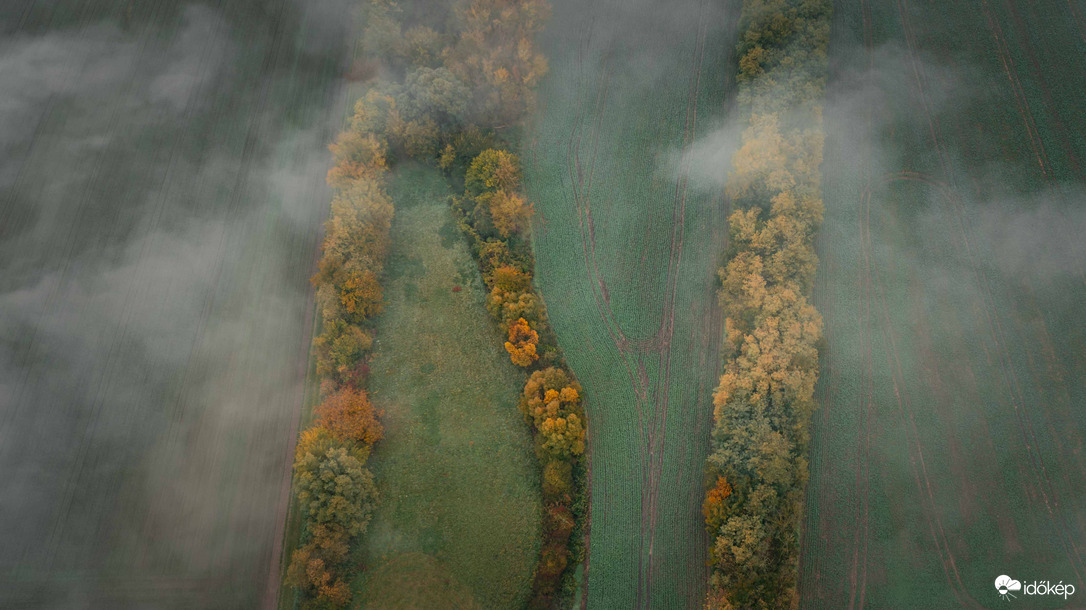Őszi színek és egy kis köd