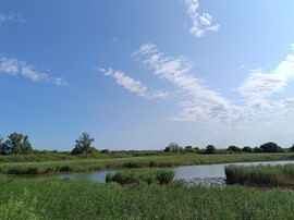 Dunaszeg