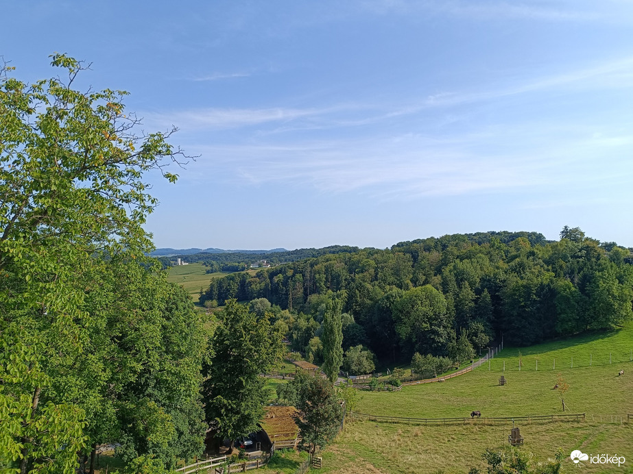 Bergl