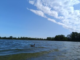 Győrladamér