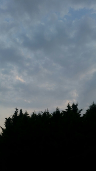 Szigetszentmiklós