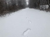 Bélapátfalva