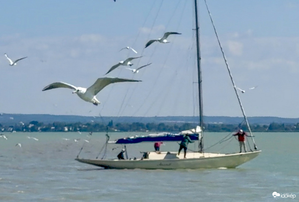 Balaton