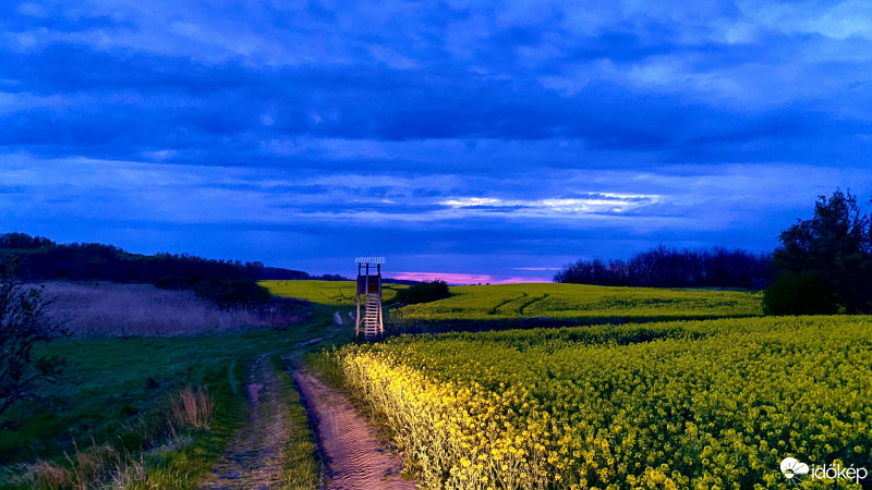 Észlelési fényképek