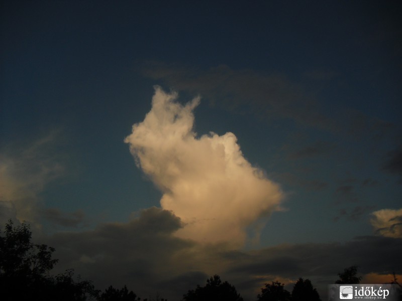 Észlelési fényképek