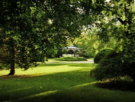 Reggel a kaposvári Berzsenyi parkban