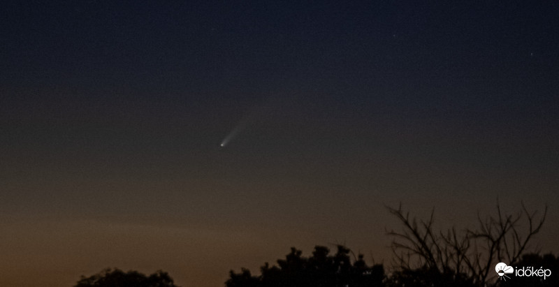 NEOWISE