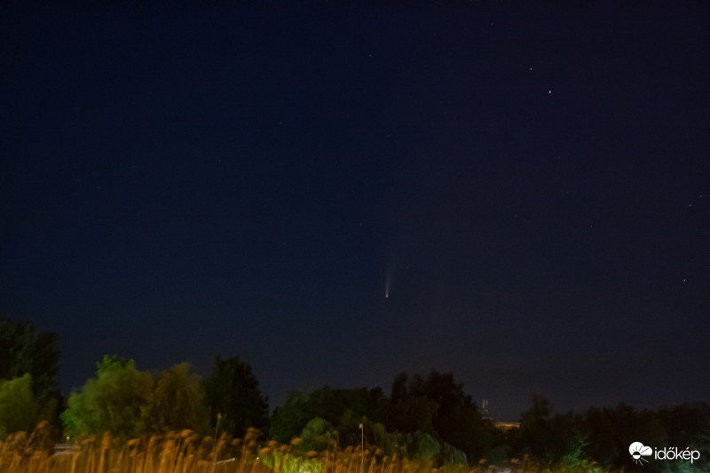 NEOWISE