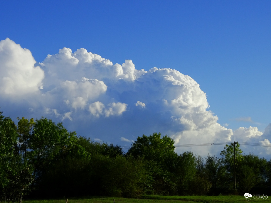 Hódmezővásárhely 