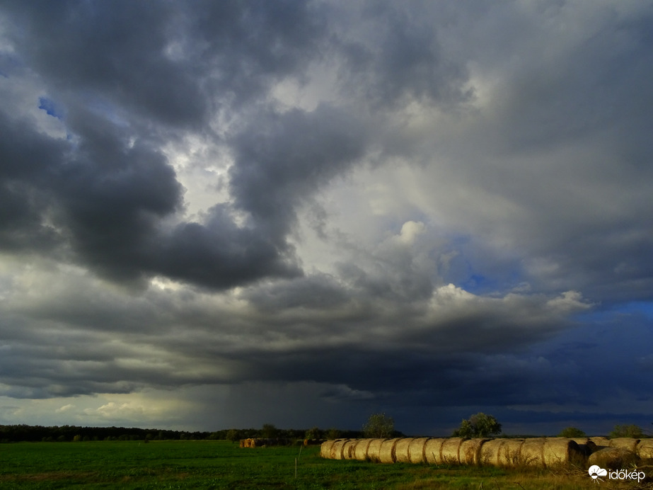Hódmezővásárhely 