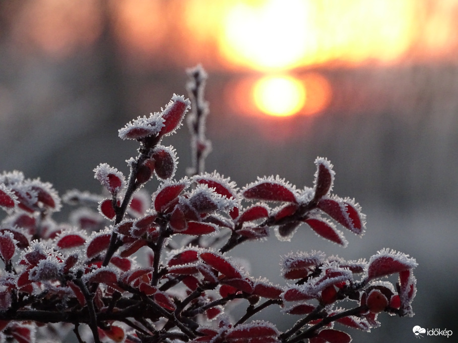 Hódmezővásárhely 