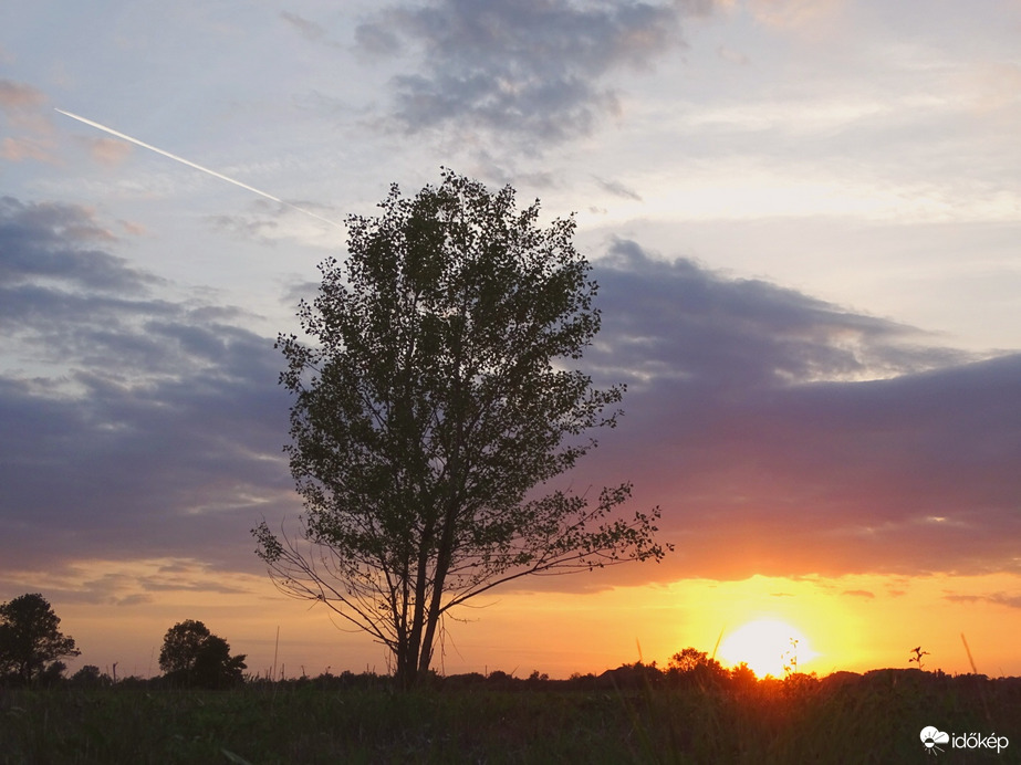 Hódmezővásárhely 