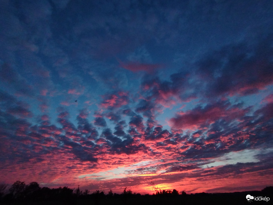 Hódmezővásárhely 
