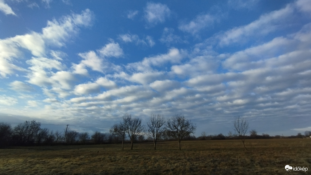 Hódmezővásárhely 