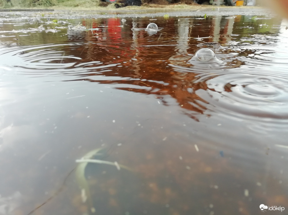 Hódmezővásárhely határában 3mm