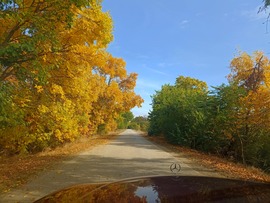 Hódmezővásárhely 