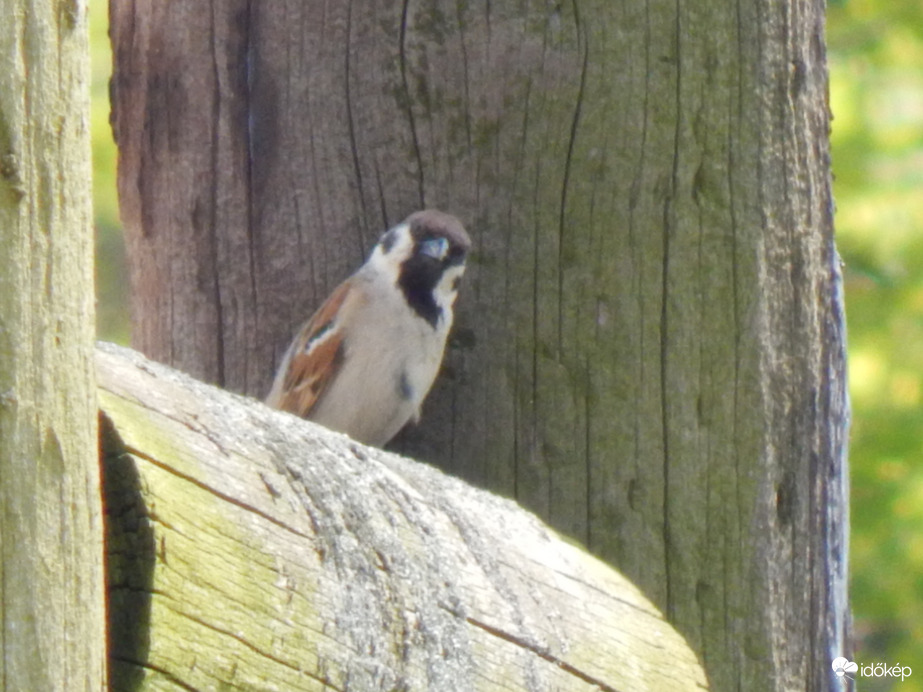 "Te meg kit fotózol?"