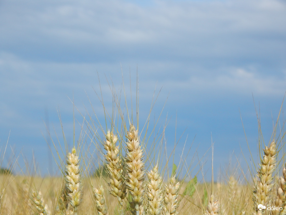 Megérkeztek a felhők