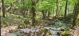 Domoszló