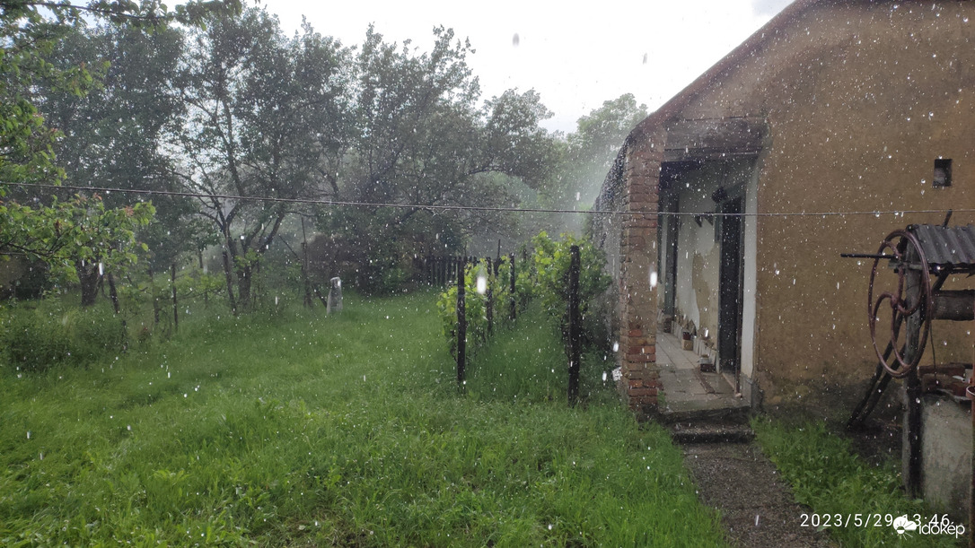 Észlelési fényképek