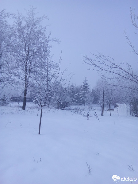 Észlelési fényképek