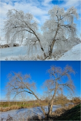 Téli bunda vs. Átmeneti kabát