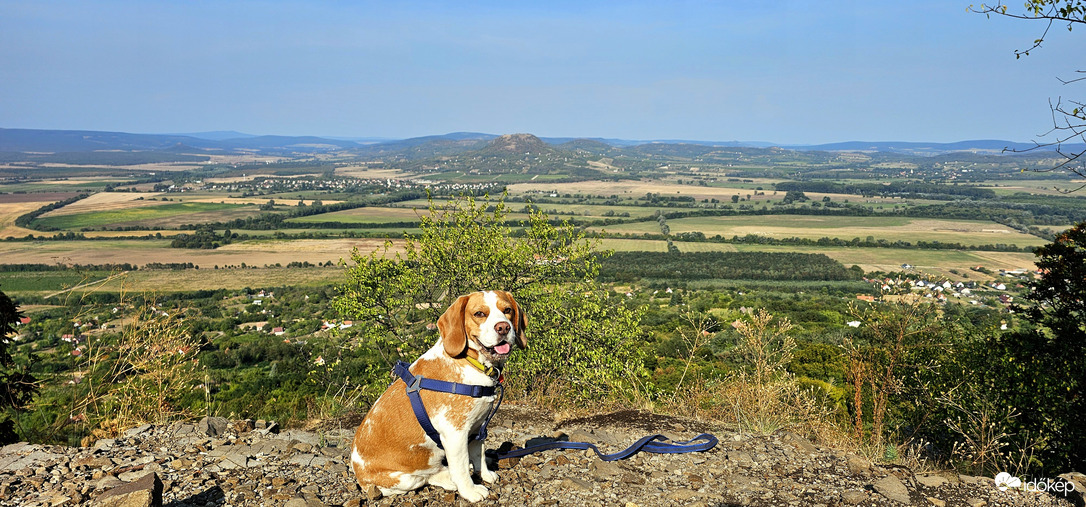 Panoráma a bazaltoktól