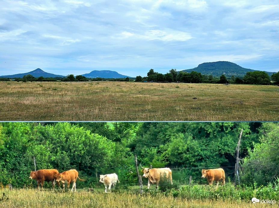 Balaton-felvidéken