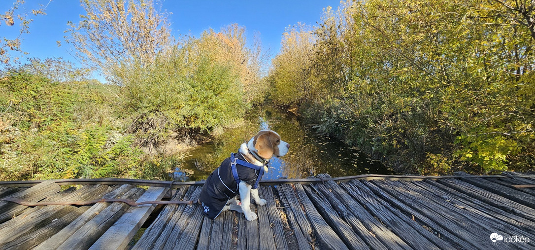 Ahol a híd őrzi az őszt...