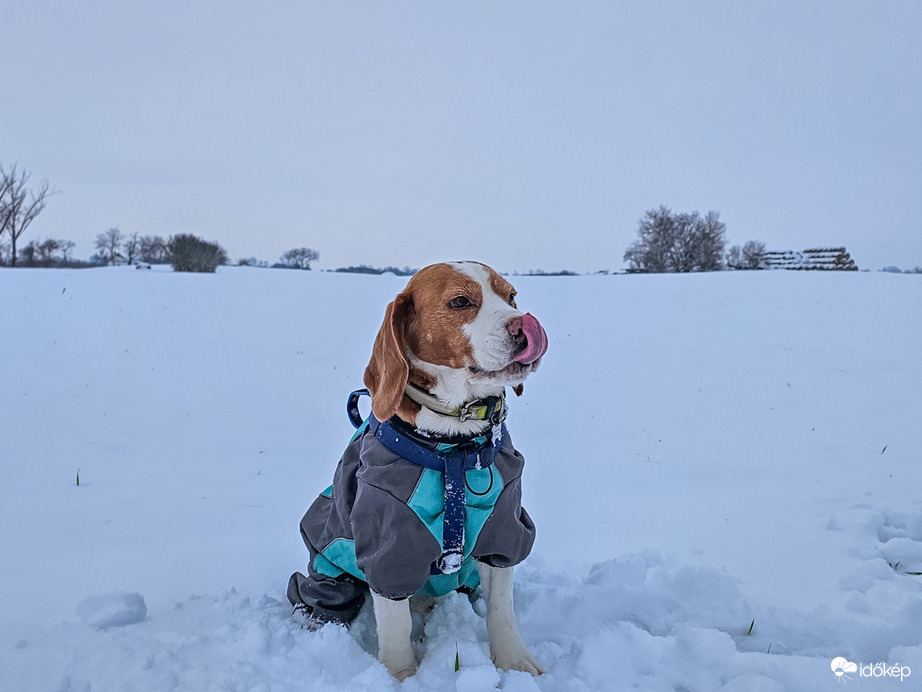 Nehogy már én maradjak ki a... HÓBÓL! :P