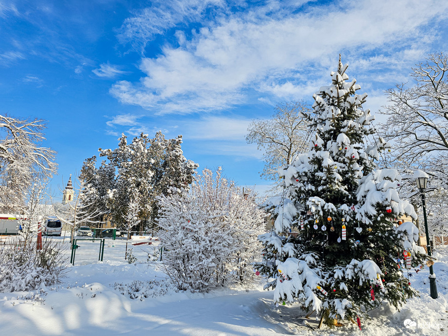 Ahol a karácsonyfa még mindig szép