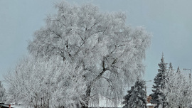 A Hókirálynő trónterme