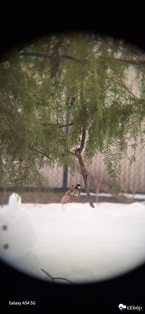 Észlelési fényképek