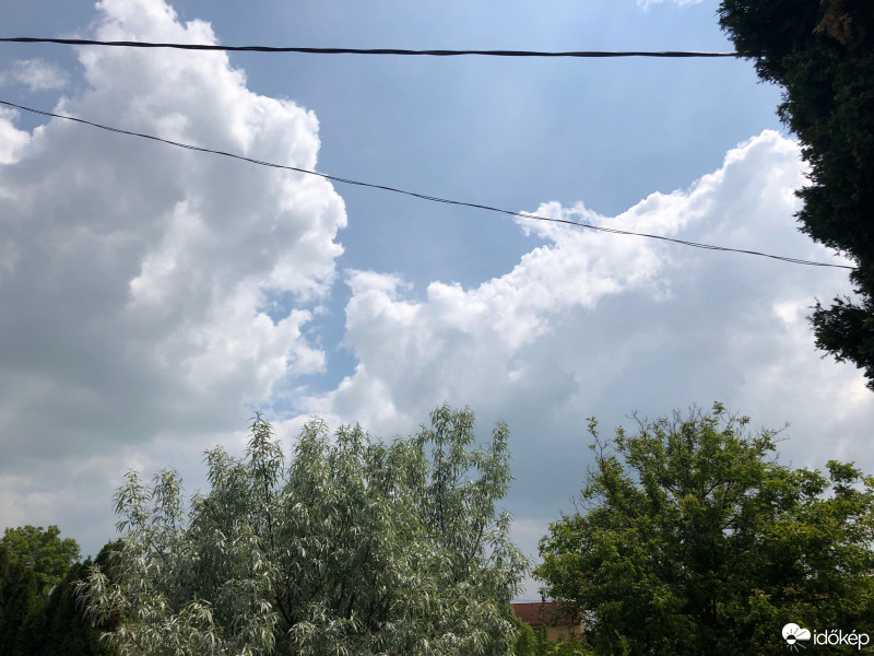 Észlelési fényképek