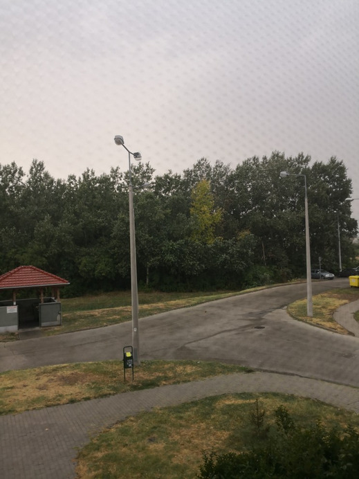 Észlelési fényképek