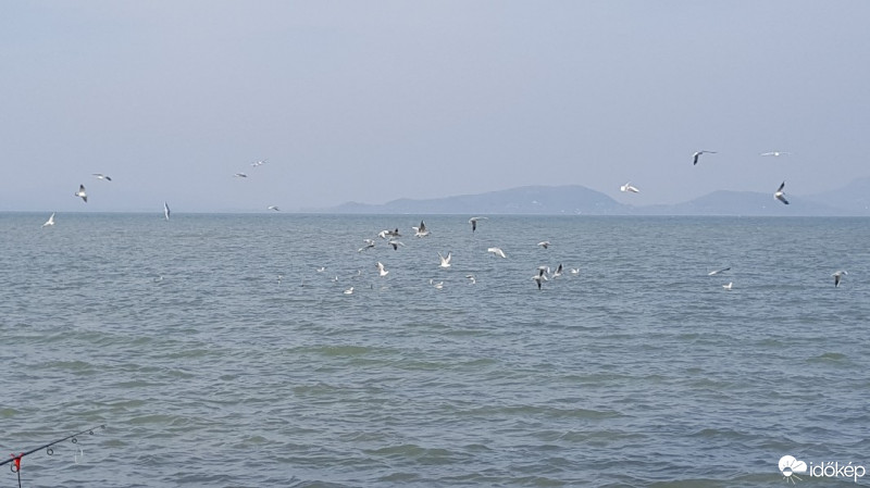 Balatonfenyves